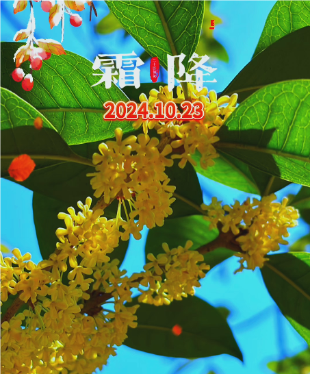 大本营智慧分享