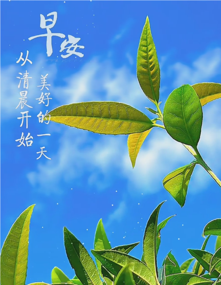 大本营智慧分享