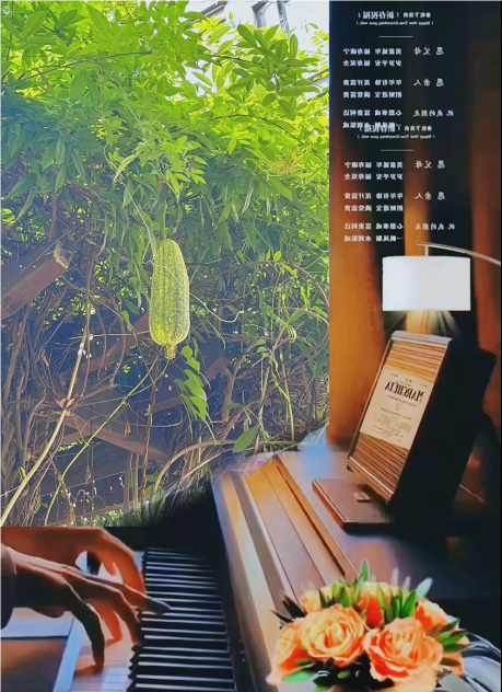 大本营智慧分享