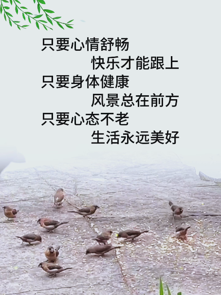大本营智慧分享
