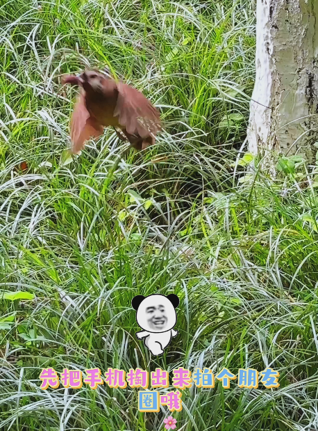 大本营智慧分享