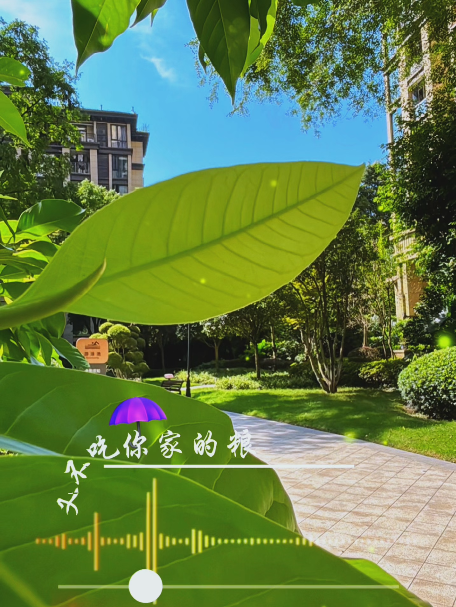 大本营智慧分享