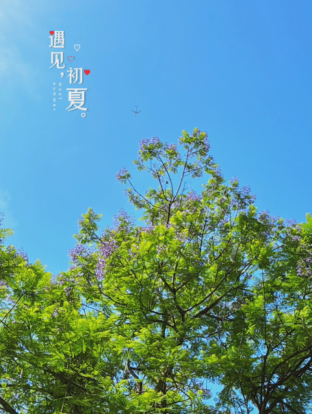 大本营智慧分享