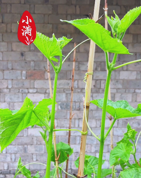 大本营智慧分享