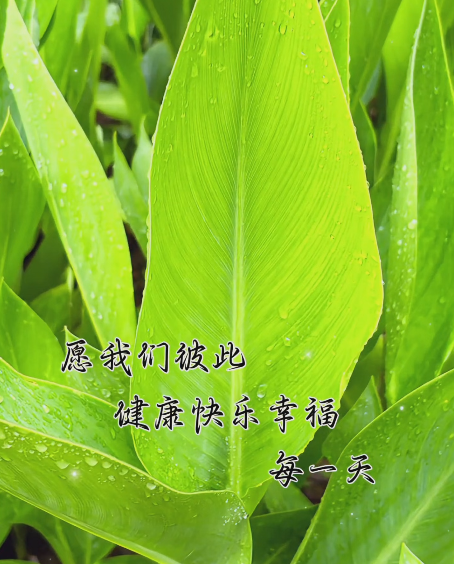 大本营早餐来了