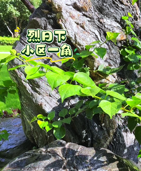 大本营早餐来了