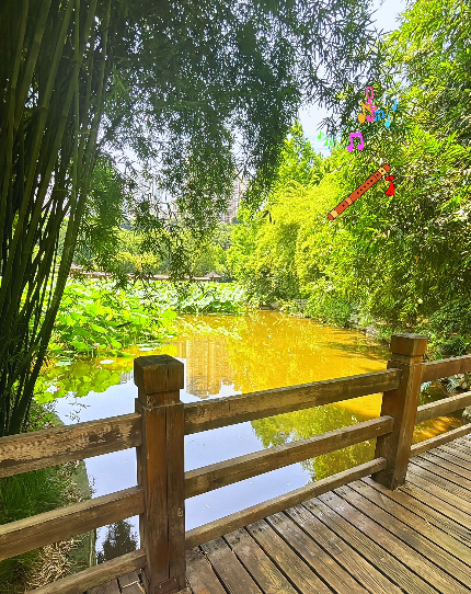 大本营早餐来了