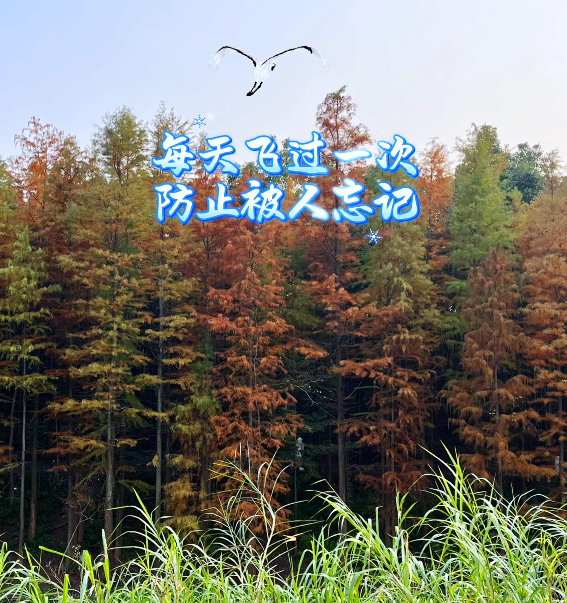 大本营早餐来了