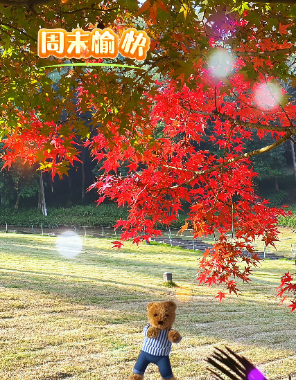 大本营早餐来了