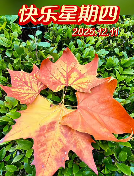 大本营早餐来了