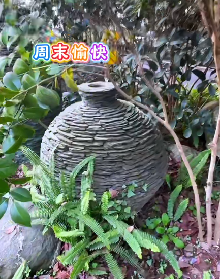 大本营早餐来了