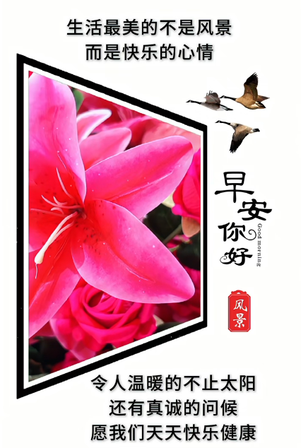 大本营早餐来了