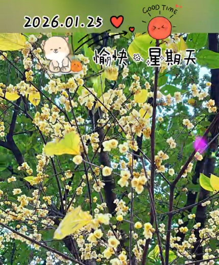 大本营早餐来了