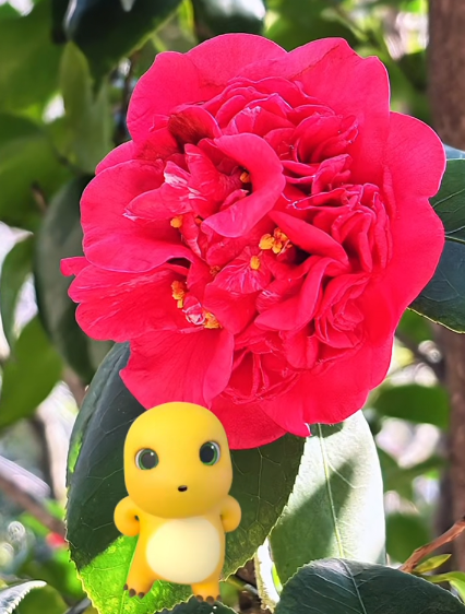 大本营早餐来了