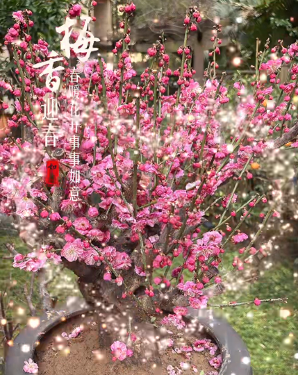 大本营早餐来了