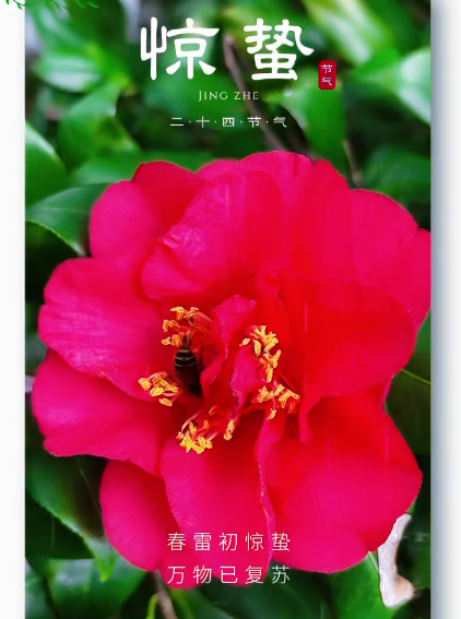 大本营早餐来了