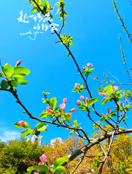 大本营早餐来了
