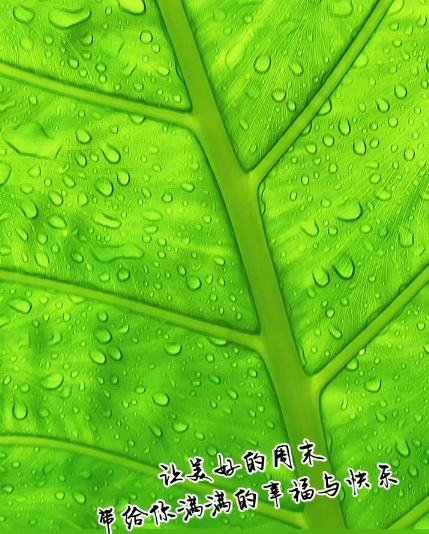 大本营智慧分享