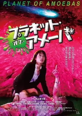 白日梦我